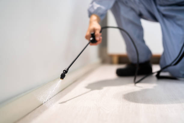 Licensed Termite Control service in Campbell, FL - Nex Pest Control