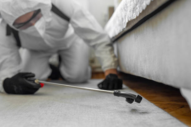 Professional Termite Control technician working in Campbell, FL