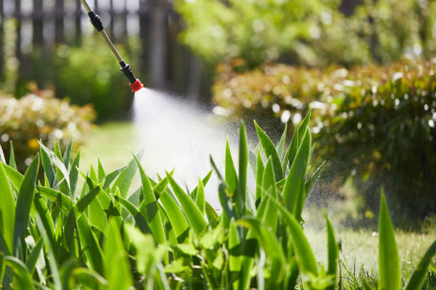 24/7 Emergency Termite Control experts in Campbell, FL