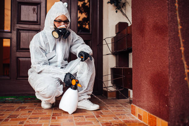 Reliable Termite Control contractor in Campbell, FL by Nex Pest Control