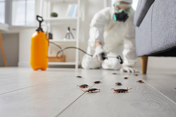 Affordable Termite Control solutions in Campbell, FL