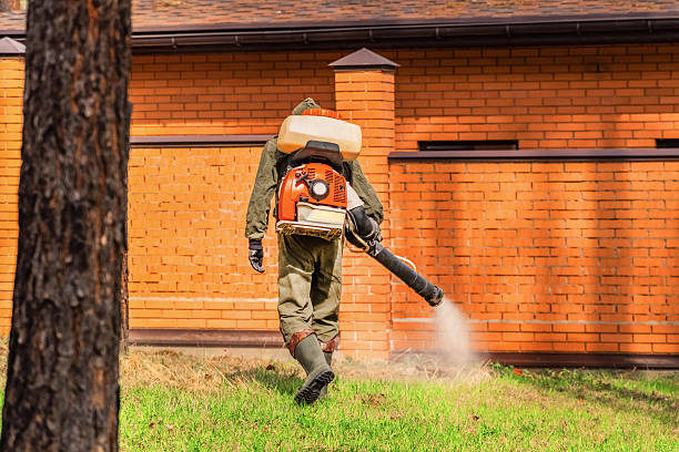 Top rated local Termite Control specialists in Campbell, FL